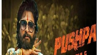 Pushpa: The Rule