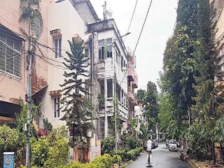 যা হল সল্টলেক সিজি ব্লকে..