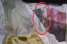 হোটেলে খাবার অর্ডার করে ভয়ঙ্কর অভিজ্ঞতা, পরোটার মধ্যে মিলল সাপের খোলস!
