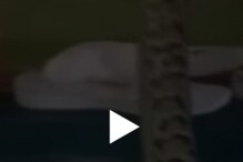 ঘরের টিনের চালে খসখস শব্দ... অন্ধকারে কী ঝুলছে ওটা? গায়ে কাঁটা দেওয়া দৃশ্য! ঘরের টিনের চালে খসখস শব্দ... অন্ধকারে কী ঝুলছে ওটা? গায়ে কাঁটা দেওয়া দৃশ্য!