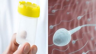 স্পার্মের মান কমে যায় মোবাইল, কম্পিউটার ব্যবহার করলে
গবেষণায় বলা হয় যে, নীল আলোর ওয়েভলেনথ কিন্তু শরীরের ভিতর সমস্যা তৈরি করে দেয়। বেশিরভাগ ক্ষেত্রে দেখা যায় যে ঘুমের ১২টা বাজায় এই নীল আলো। তবে এর পাশাপাশি স্পার্মের মানও খারাপ হয়।