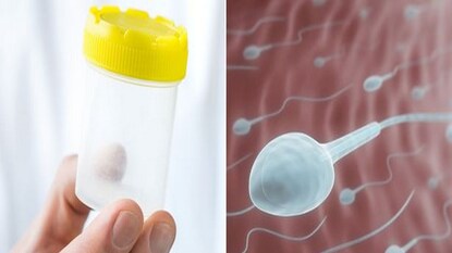 স্পার্মের মান কমে যায় মোবাইল, কম্পিউটার ব্যবহার করলে
গবেষণায় বলা হয় যে, নীল আলোর ওয়েভলেনথ কিন্তু শরীরের ভিতর সমস্যা তৈরি করে দেয়। বেশিরভাগ ক্ষেত্রে দেখা যায় যে ঘুমের ১২টা বাজায় এই নীল আলো। তবে এর পাশাপাশি স্পার্মের মানও খারাপ হয়। স্পার্মের মান কমে যায় মোবাইল, কম্পিউটার ব্যবহার করলে
গবেষণায় বলা হয় যে, নীল আলোর ওয়েভলেনথ কিন্তু শরীরের ভিতর সমস্যা তৈরি করে দেয়। বেশিরভাগ ক্ষেত্রে দেখা যায় যে ঘুমের ১২টা বাজায় এই নীল আলো। তবে এর পাশাপাশি স্পার্মের মানও খারাপ হয়।