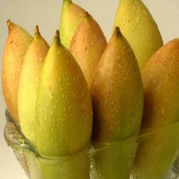 তোতাপুরি-- সবুজরঙা এই আম দেখতে তোতাপাখির ঠোঁটের মতো এবং অন্ধ্রপ্রদেশ, কর্নাটক এবং তামিলনাড়ুতে পাওয়া যায়। তবে এই আম স্বাদে খুব একটা মিষ্টি নয়, বরং এর স্বাদ হালকা টক। এতে প্রচুর পরিমাণে ভিটামিন এ এবং সি রয়েছে; এটি সাধারণত চাটনি, স্যালাড এবং আচারে ব্যবহৃত হয়।