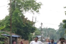 রাজ্য সড়কের উপর দাঁড়িয়ে ছিল বিরাট এক গাছ, তারপর? রাজ্য সড়কের উপর দাঁড়িয়ে ছিল বিরাট এক গাছ, তারপর?