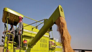 প্রতীকী ছবি