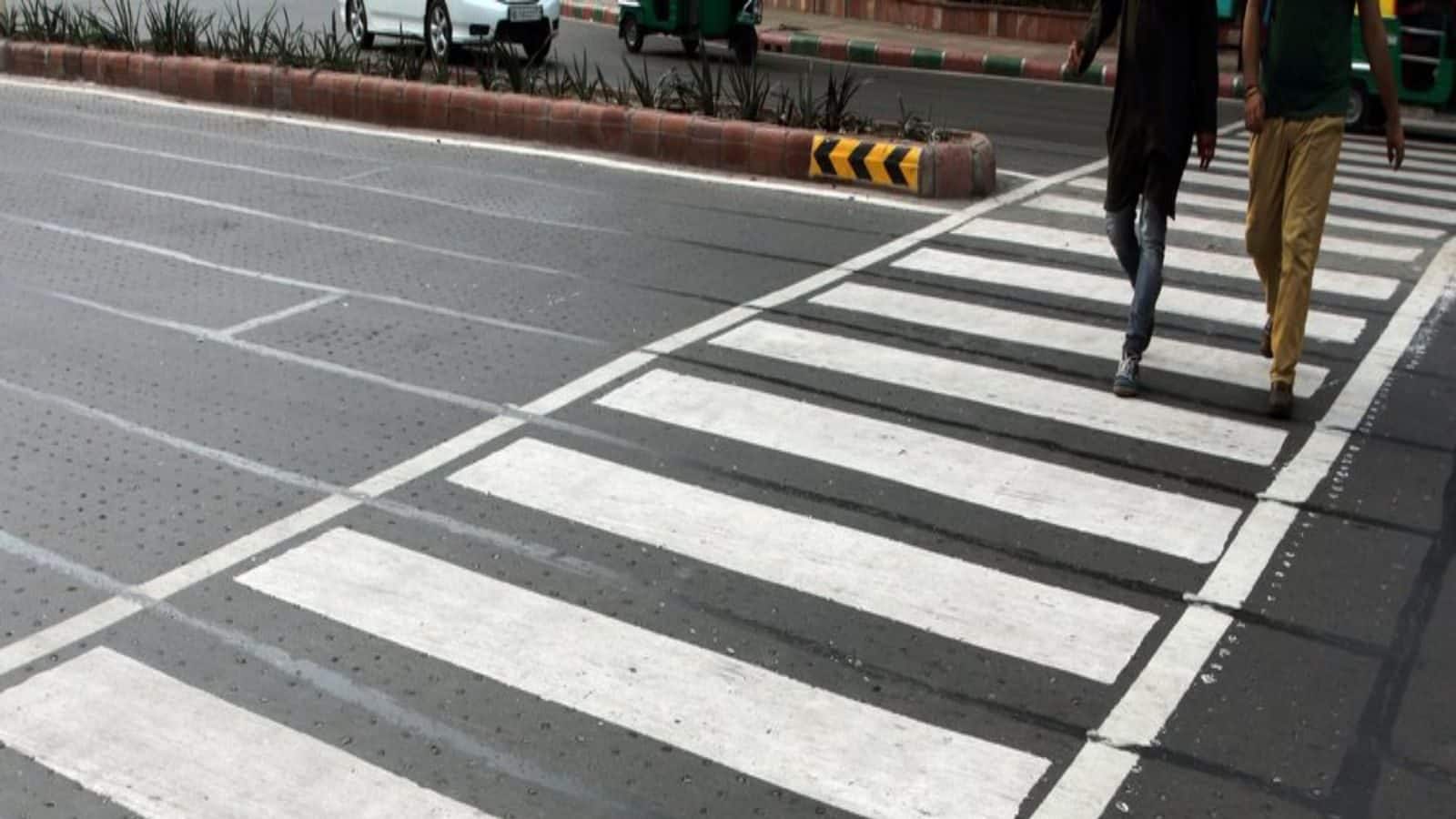 Interesting Facts zebra Crossing White Yellow Lines And Zebra Crossing