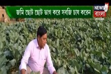 মিশ্র সবজি চাষে লাভজনক হওয়ার উপায়, আমবাগানের পরিচর্যা, দেখুন অন্নদাতা