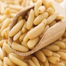 পুরুষদের যৌন ক্ষমতা তো বাড়ায়ই, গর্ভবতী মহিলাদের জন্যও বিশেষ উপকারী চিলগোজা