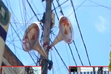 পথে বেরোলেই কান হাত, বনগাঁ স্কুল পড়ুয়াদের এ কোন নতুন সমস্যা! বিরক্ত শহরবাসী পথে বেরোলেই কান হাত, বনগাঁ স্কুল পড়ুয়াদের এ কোন নতুন সমস্যা! বিরক্ত শহরবাসী