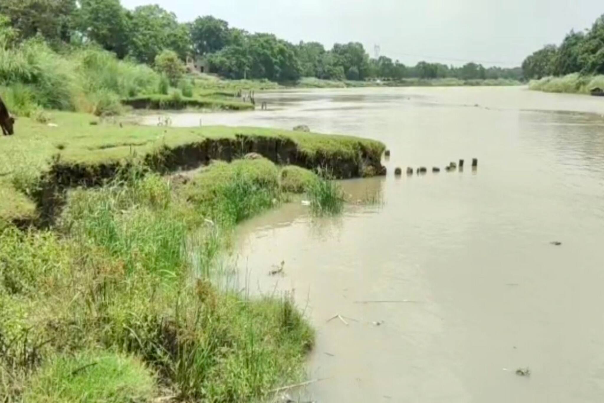 Paschim Medinipur: বন্যার আগে মেরামত হবে কি ঘাটালের সামুইহালের ক্ষতিগ্রস্ত বাঁধ! আতঙ্কে এলাকাবাসী