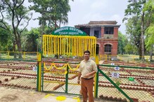 গবেষণায় তৈরি হচ্ছে অসংখ্য প্রজাতির জবা, এবার থাকবে বোটানিক্যাল গার্ডেনে গবেষণায় তৈরি হচ্ছে অসংখ্য প্রজাতির জবা, এবার থাকবে বোটানিক্যাল গার্ডেনে