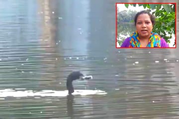 এয়ারগান
