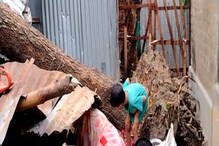 Maldah News| Storm and rain: ঝড়ে গাছ ভেঙে চাপা পড়ল টিনের ঘর! স্রেফ উপস্থিত বুদ্ধির জোরে ছোট ২ শিশুকে নিয়ে প্রাণে বাঁচলেন মা, দেখুন ছবি Maldah News| Storm and rain: ঝড়ে গাছ ভেঙে চাপা পড়ল টিনের ঘর! স্রেফ উপস্থিত বুদ্ধির জোরে ছোট ২ শিশুকে নিয়ে প্রাণে বাঁচলেন মা, দেখুন ছবি
