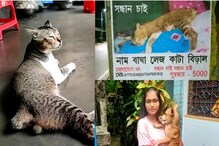 নিরুদ্দেশ বাঘা গাড়ি করে ফিরল ঘরে! নিরুদ্দেশ বাঘা গাড়ি করে ফিরল ঘরে!