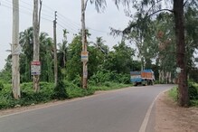 ধুমধাম করে লাগানো হচ্ছে চারাগাছ, কিন্তু চলছে বড় গাছকে অত্যাচার ধুমধাম করে লাগানো হচ্ছে চারাগাছ, কিন্তু চলছে বড় গাছকে অত্যাচার