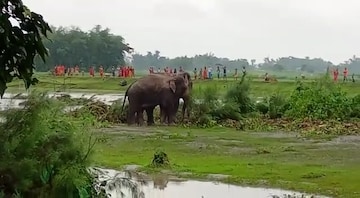 মাঝেরডাবরী