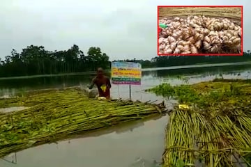 বিশেষ