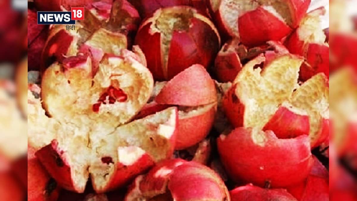 তুলতুলে ত্বকের জন্য বেদানা কীভাবে ব্যবহার করবেন জেনে নিন এক মিনিটে