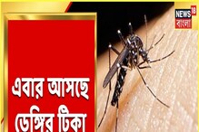 এবার আসছে ডেঙ্গির টিকা, কলকাতায় শুরু ক্লিনিকাল ট্রায়াল এবার আসছে ডেঙ্গির টিকা, কলকাতায় শুরু ক্লিনিকাল ট্রায়াল