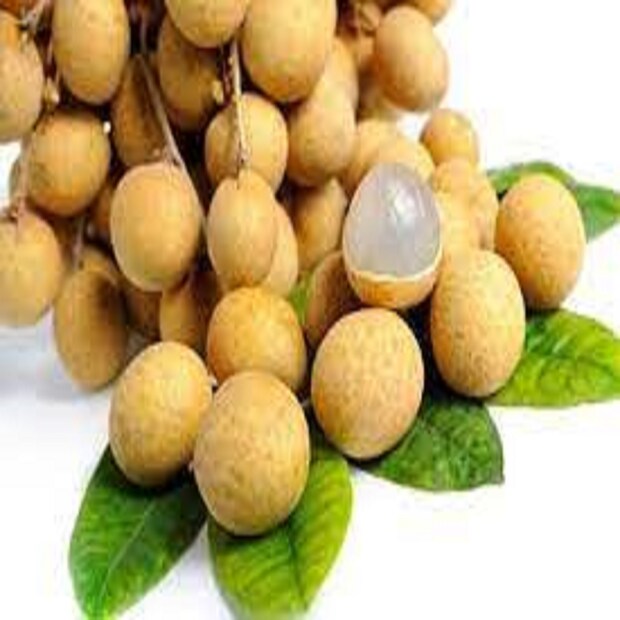 ২)এটি লিচু প্রজাতির ফল, দেখতেও খানিকটা লিচুর মতো৷ খোসা ছাড়িয়ে খেতে হয়৷ 