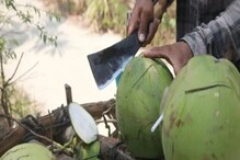 Coconut Water Risk: গরমে গলা ভেজাতে দেদার খাচ্ছেন ডাবের জল? বড় বিপদ ডাকছেন না তো? জানুন ডাবের জলের সত্যিটা! Coconut Water Risk: গরমে গলা ভেজাতে দেদার খাচ্ছেন ডাবের জল? বড় বিপদ ডাকছেন না তো? জানুন ডাবের জলের সত্যিটা!