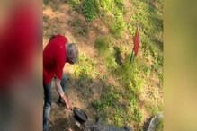ফ্রাইং প্যান দিয়ে হিংস্র কুমীরের সঙ্গে লড়াই, তার পর যা হল! ভাইরাল ভিডিও ফ্রাইং প্যান দিয়ে হিংস্র কুমীরের সঙ্গে লড়াই, তার পর যা হল! ভাইরাল ভিডিও