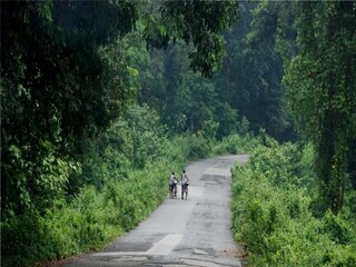 প্রতীকী ছবি। 