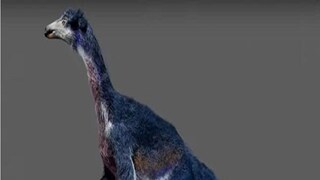 New Dinosaur Species Found