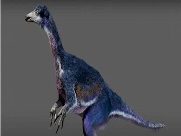 New Dinosaur Species Found