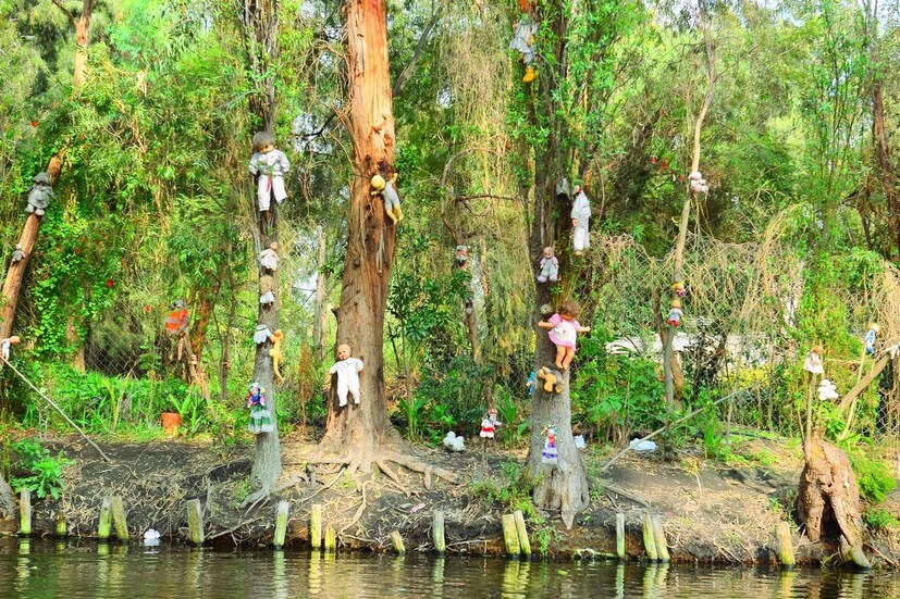 এই পুতুল দ্বীপের মালিক ছিলেন স্থানীয় এক ব্যক্তি জুলিয়ান সান্তানা বারেরা। ২০০১ সালে তাঁর রহস্যজনক মৃত্যু ঘটে। শোনা যায়, প্রায় ৫০ বছর আগে সান্তানা বারেরা একটি ছোট মেয়ে এবং তার বোনদের নদীর ধারে সাঁতার কাটতে দেখেন। নদীর জোরালো স্রোত তাদের একজনকে ভাসিয়ে নিয়ে যায়। জুলিয়ান ওই শিশুকে বাঁচাতে ঝাঁপিয়ে পড়লেও সময়মতো তার কাছে পৌঁছাতে পারেননি; ছোট মেয়েটি আগেই ডুবে যায়। বলা হয়, জুলিয়ান তার মৃত্যুর জন্য নিজেকেই দোষ দেন এবং সারা জীবন শোকে আচ্ছন্ন ছিলেন।