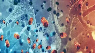 Dostarlimab Cancer Medicine