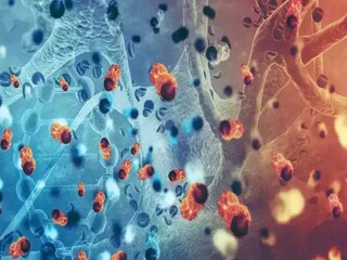 Dostarlimab Cancer Medicine