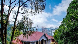 সংগৃহীত ছবি। সংগৃহীত ছবি।