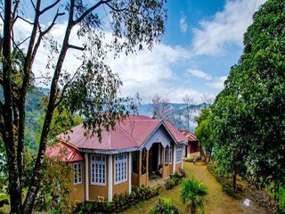 সংগৃহীত ছবি। 