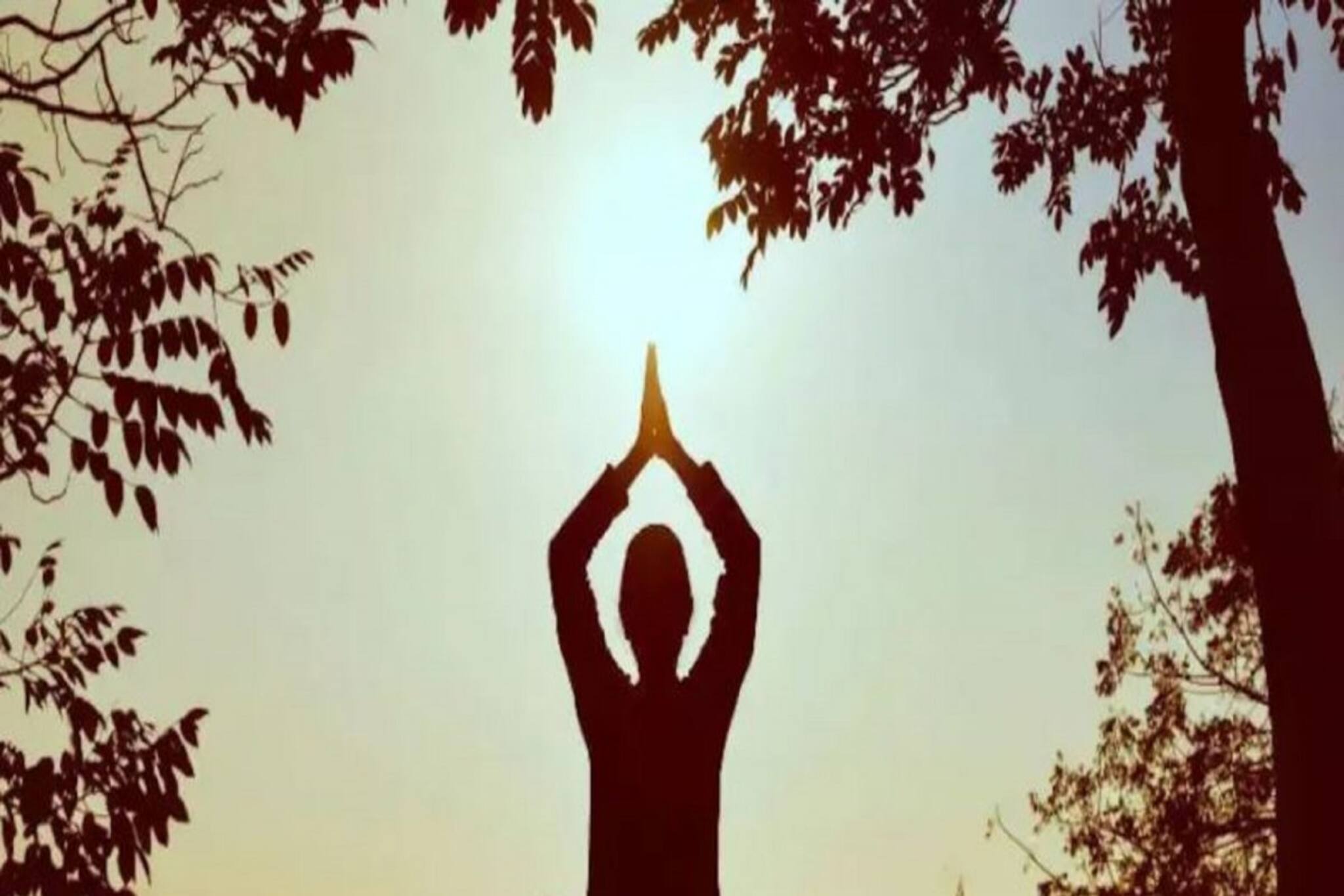 বিশ্বের কোন দেশে শান্তি, আর কোন দেশে চূড়ান্ত অশান্তি, ভারত ঠিকঠাক রয়েছে তো!