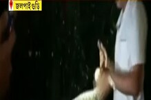 জলপাইগুড়ির TB হাসপাতাল থেকে উদ্ধার ৯ ফুটের লম্বা Python, তারপর? জলপাইগুড়ির TB হাসপাতাল থেকে উদ্ধার ৯ ফুটের লম্বা Python, তারপর?