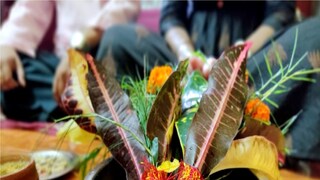 প্রতীকী ছবি। 