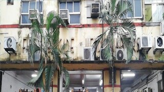 ফাইল ছবি। 