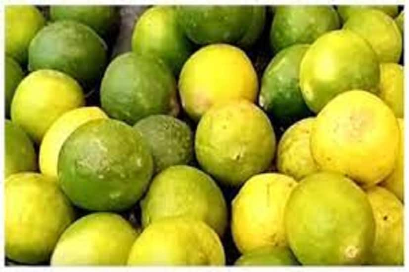 যাঁদের ডায়বেটিস আছে তাঁদের জন্য একটি প্রশ্ন সব সময়েই করা হয়ে থাকে লেবু কি ডায়বেটিসের রোগীদের খাওয়া উচিৎ না উচিৎ না? প্রতীকী ছবি ৷