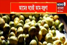 চড়া দামে বিকোচ্ছে আম, আমসত্ত্ব গ্রামে বিপাকে আমসত্ত্ব কারিগররা