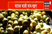 চড়া দামে বিকোচ্ছে আম, আমসত্ত্ব গ্রামে বিপাকে আমসত্ত্ব কারিগররা চড়া দামে বিকোচ্ছে আম, আমসত্ত্ব গ্রামে বিপাকে আমসত্ত্ব কারিগররা