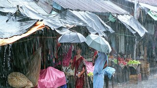 Monsoon 2022 Monsoon 2022