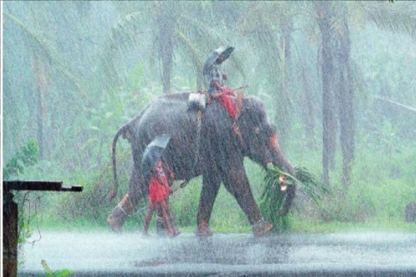 *আজ কলকাতায় সর্বনিম্ন তাপমাত্রা ২৬.২ ডিগ্রি সেলসিয়াস, যা স্বাভাবিকের তুলনায় ১ ডিগ্রি কম। গতকাল বিকেলে সর্বোচ্চ তাপমাত্রা ছিল ৩৪.৫ ডিগ্রি সেলসিয়াস, যা স্বাভাবিকের থেকে এক ডিগ্রি কম। গত ২৪ ঘন্টায় বৃষ্টি হয়েছে কলকাতায় মাত্র ১.৬ মিলিমিটার। প্রতীকী ছবি।