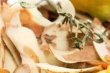 Benefits of Peels: আলু, লেবু থেকে বেদানা-এই তরকারি ও ফলের খোসা ফেলে দেন? নিজের দোষেই হারাচ্ছেন সুন্দরী হওয়ার উপায় Benefits of Peels: আলু, লেবু থেকে বেদানা-এই তরকারি ও ফলের খোসা ফেলে দেন? নিজের দোষেই হারাচ্ছেন সুন্দরী হওয়ার উপায়