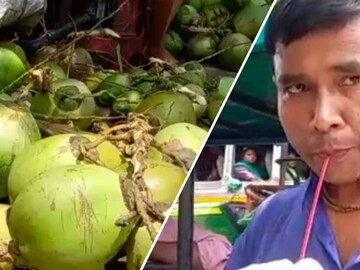 ডাবের