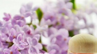 ঠিকঠাক সুগন্ধির ব্যবহার প্রখর গ্রীষ্মেও শীতল অনুভূতি নিয়ে আসতে পারে ঠিকঠাক সুগন্ধির ব্যবহার প্রখর গ্রীষ্মেও শীতল অনুভূতি নিয়ে আসতে পারে