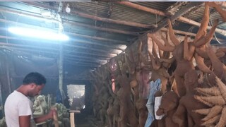 আসানসোলের মহিশীলার কুমোরপাড়ায় দুর্গা মূর্তি তৈরির কাজ শুরু হয়ে গিয়েছে