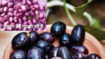 Health Benefits of Jamun Kernel Health Benefits of Jamun Kernel