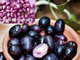 Health Benefits of Jamun Kernel