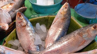 দাম কিছুটা কমেছে কিন্তু তাতেও আম বাঙালির সাধ্যের মধ্যে কি?